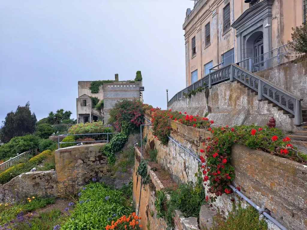 An exterior view of Alcatraz prison with flowers and overgrow