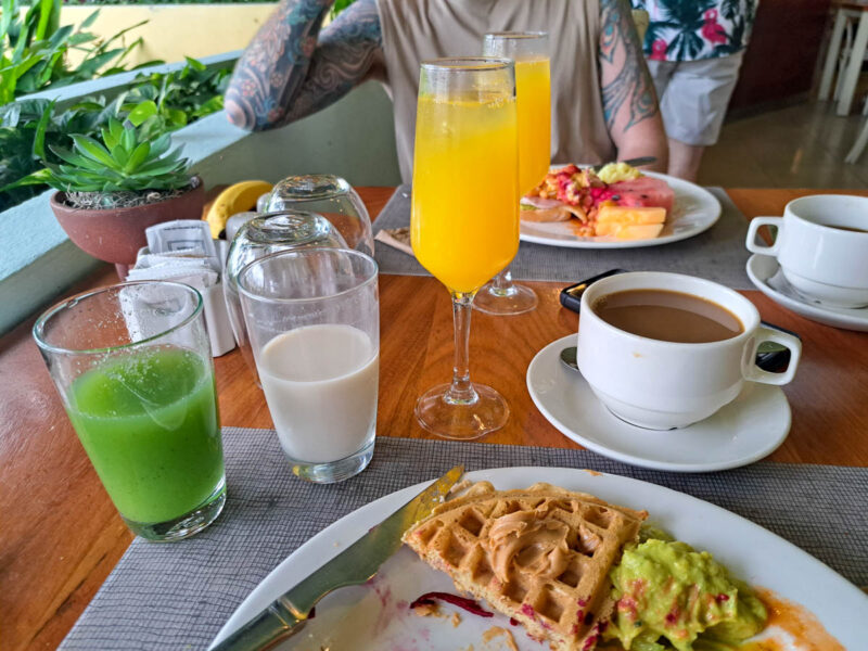 All-inclusive vacation breakfast of champions including green juice, soy milk, a mimosa and coffee