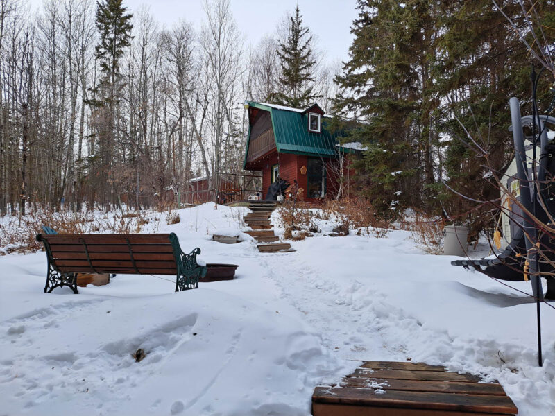 A red-brown barn with green roof, wooden bench, and wooden steps leading up to the barn nestled in sparse winter pine and birch trees surrounded by white snow.