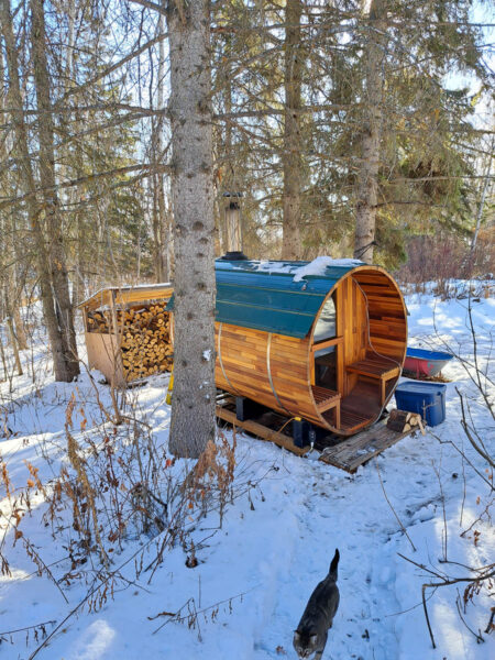 Outside view of a wood barrel sauna in a wooded forest in the winter with a firewood shelter right behind it and a cat running up a path.