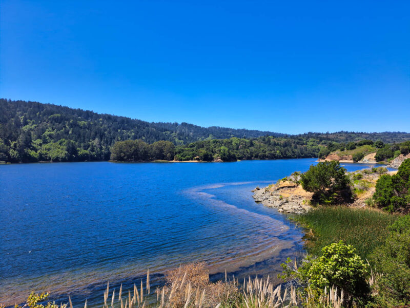 A deep blue water reservoir with rolling hills on one side, lush green grass and trees, and desert plants, with bright blue skies