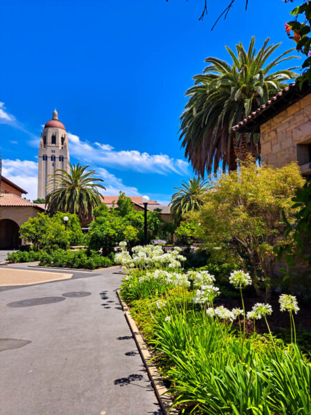 Exploring the grounds at Stanford University. Mediterranean style buildings and towers, with red bricks, paved pathway, and green plants and flowers.