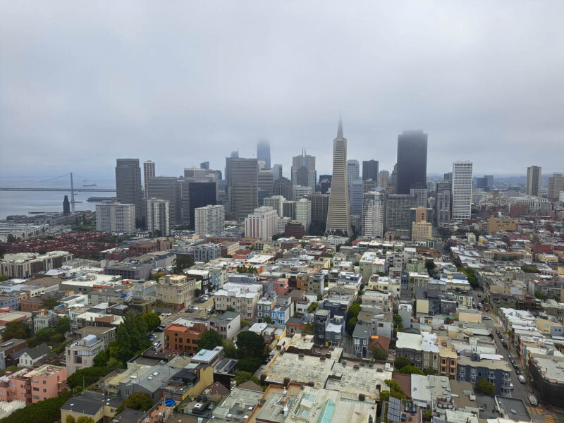 View of San Francisco buildings, houses and skyscrapers from Coit Tower. A layer of fog hangs over the city blocking out the view of the water or tops of the buildings.