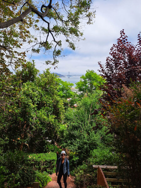 A woman standing on steep steps with greenery all around her. A view of the Golden Gate Bridge and San Francisco Bay can be seen in between the trees.