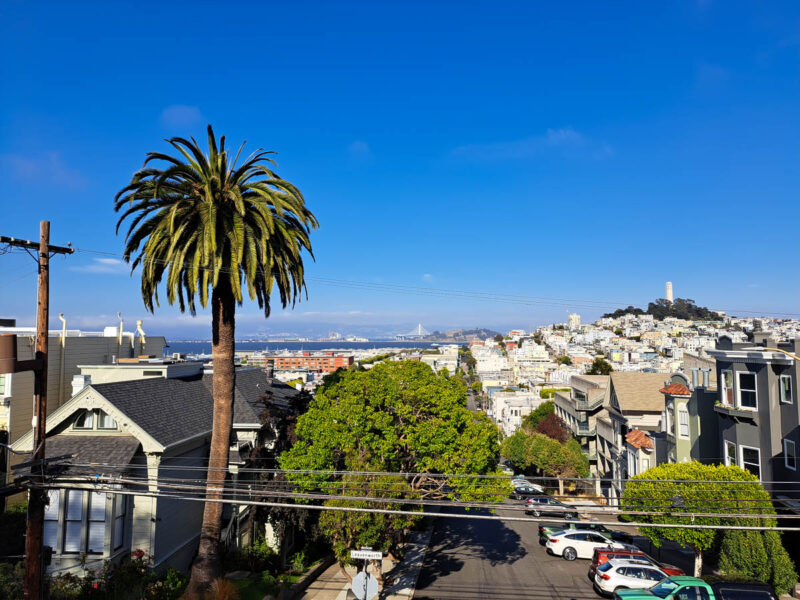 View of San Francisco hilly streets, houses, palm trees with bright blue sky and Coit Tower on a hill in the background