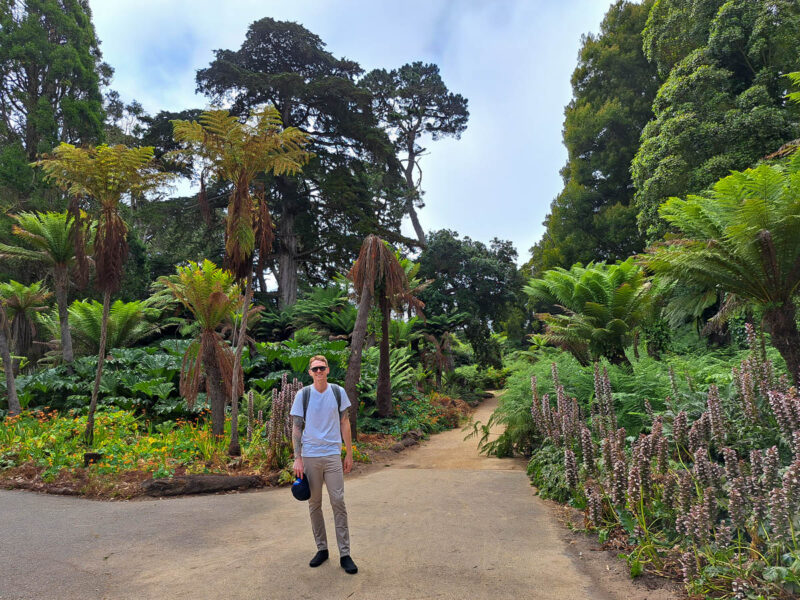 A man posing at Golden Gate Park in San Francisco with lush green plants and trees behind him.