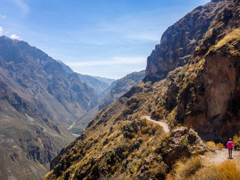 A woman with a bright pink backpack hiking a trail on a steep mountain in Colca Canyon, Peru.