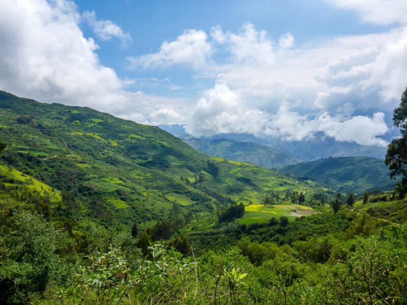 View of Salkantay Trail in the Andean mountains of Peru. The landscape is lush, green grass, trees and plants with tall mountains, wide ravines, and snow-capped mountains in the background. The sky is blue with large fluffy clouds.