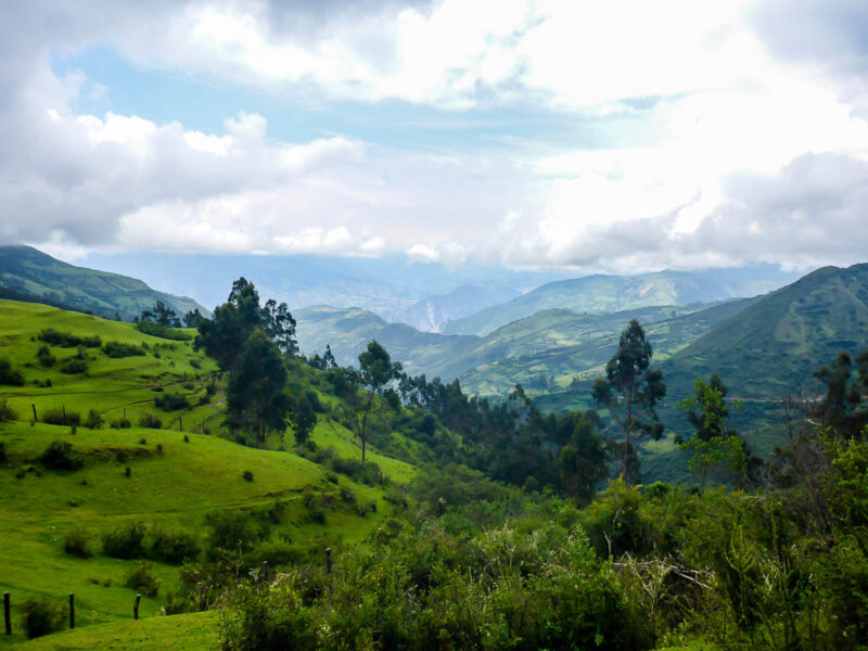 Lush green jungle, trees, grass, and mountains in the background with low-hanging clouds and blue skies