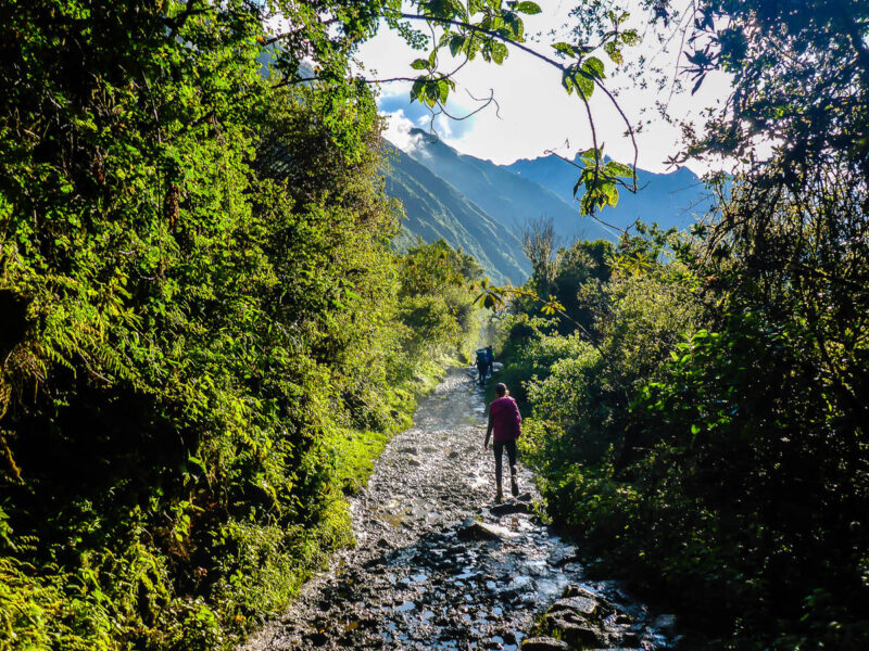 A woman walking along a muddy, rocky trail with lush green plants and trees on either side, tall mountains in the background and a bit of sunshine and blue sky.