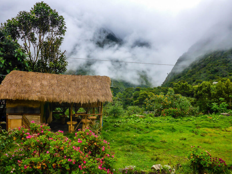 A small wooden thatched roof hut set amidst lush green grass and colourful flowering plants, with trees, tall mountains and low-hanging clouds in the background.