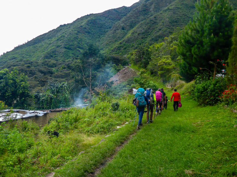 People hiking in tall green grass with a small village and coffee plantation on one side, colorful flowers on the other, plant covered hills in the background with jungle trees.