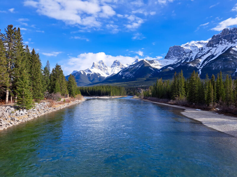 A wide river with trees on either side and snow capped mountains