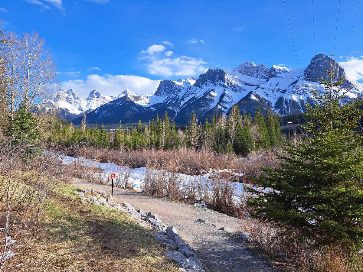 Three Sisters Mountains with forested area, hiking trails, trees, snow