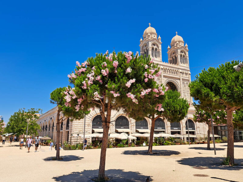 A view of the Cathedrale de la Major in Marseille, France with flowering trees in front.